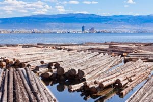 Étrons flottants ou coulants : un nouvel indicateur de votre équilibre bactérien ? Pourquoi les selles flottent-elles ou coulent-elles ? Les découvertes étonnantes des chercheurs