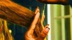 Ce régime à la mode ralentit la repousse des cheveux de 18 % : le dilemme des adeptes du jeûne intermittent