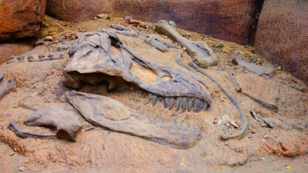 Ces géants préhistoriques, aussi longs que sept voitures, révolutionnent notre vision des dinosaures en Australie