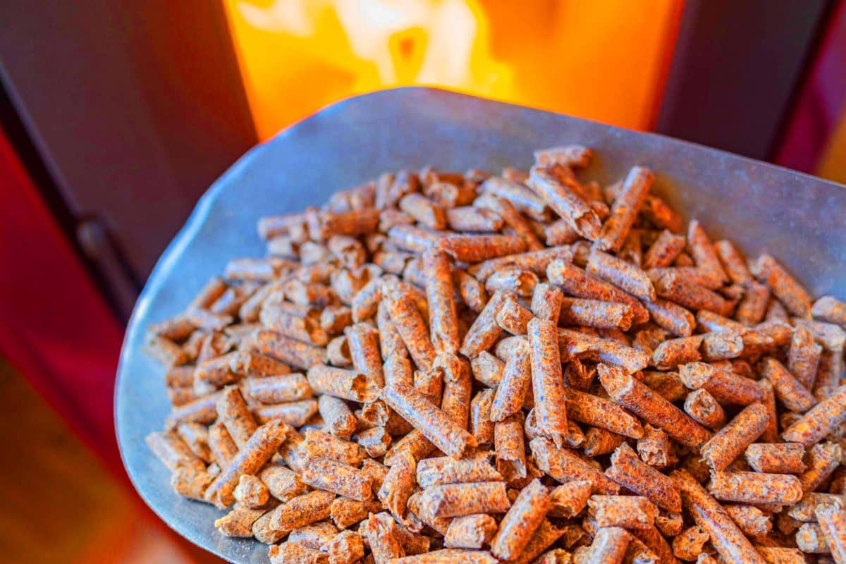 Ces poêles à pellets coûtent jusqu&rsquo;à 8000 € : découvrez les pièges cachés que les vendeurs ne mentionnent jamais