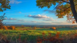 « Le 21 septembre retour de la canicule » : la météo confirme un retour brutal de la chaleur en France Illustration de la tendance météorologique de septembre vers un climat plus ensoleillé et stable.