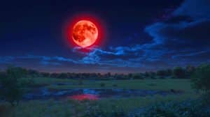 Illustration de la lune de sang visible en France lors de l'éclipse lunaire totale du 7 septembre 2025.