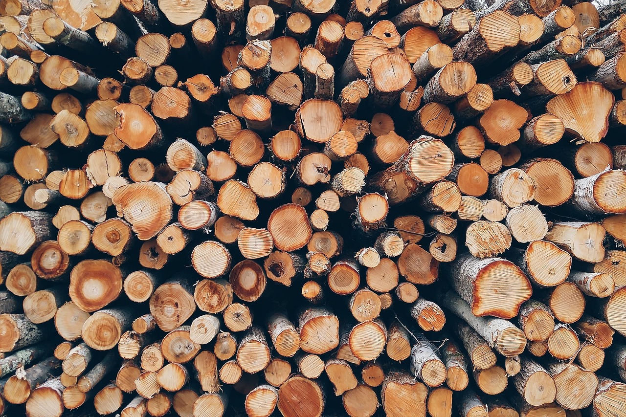 « Les prix explosent » : voici pourquoi votre bois de chauffage vous coûte si cher (et ça ne fait que commencer)