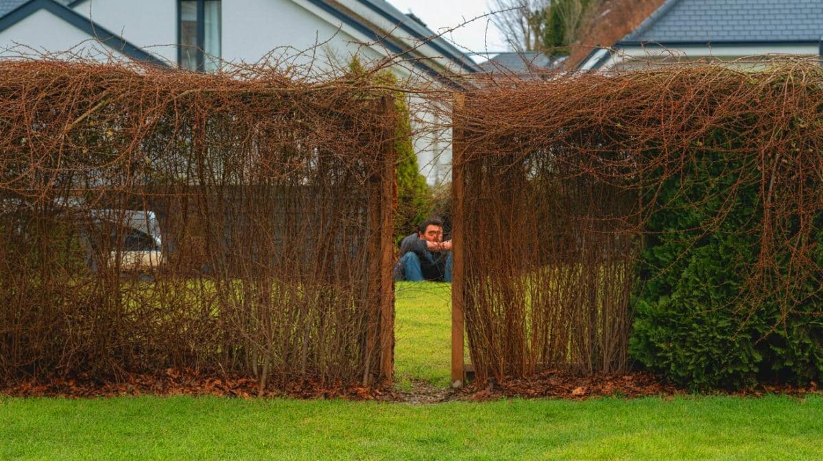 « Mon voisin refuse de tailler sa haie » : voici comment l’obliger légalement à agir selon l’article 672 du code civil Illustration de la gestion des haies envahissantes entre voisins selon la législation française.
