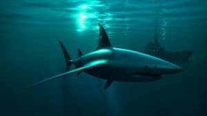 « L’Australie déploiera le “Ghost Shark” en 2026 » : un sous-marin-drone furtif pour contrer la puissance chinoise Illustration de la collaboration entre l'Australie et Anduril pour le développement du drone sous-marin Ghost Shark.