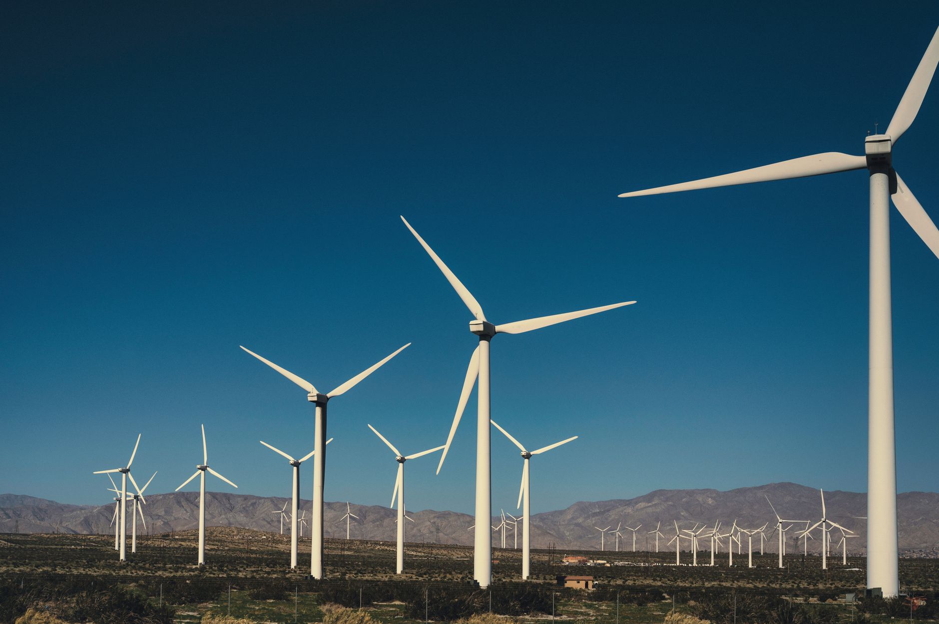 Actualité environnementale : les initiatives françaises en 2026