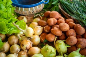Focus sur l’agriculture française : les changements à venir